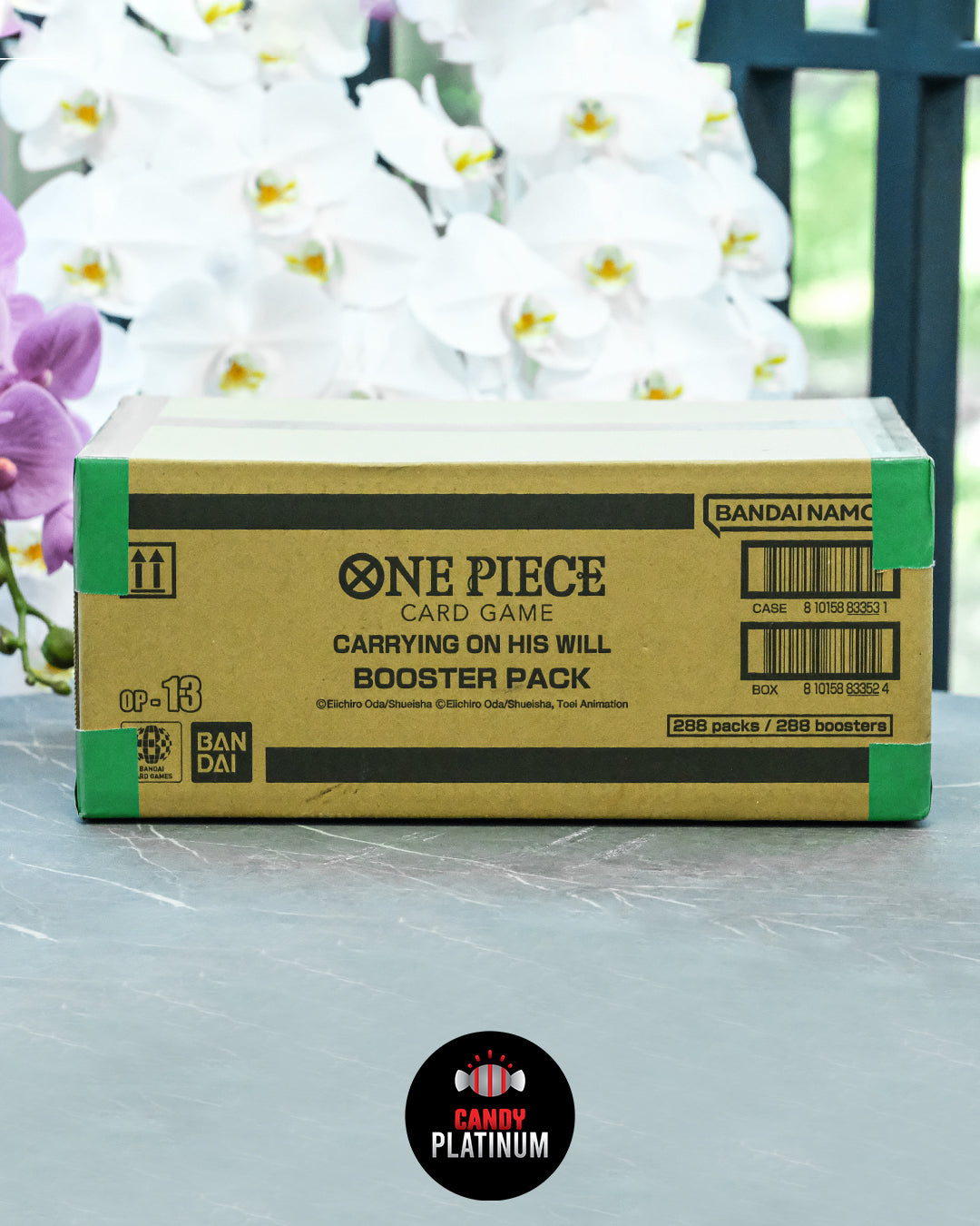 OP13 Sealed Case